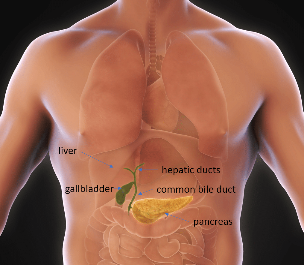 Gall bladder surgery in Mumbai